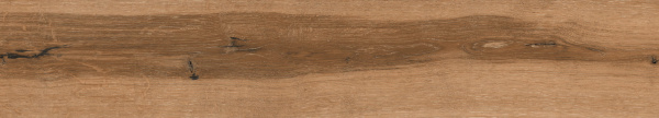 Керамогранит Absolut Gres (Абсолют Грес) Wildwood Dark Brown матовый 120x20 см, AB1164W