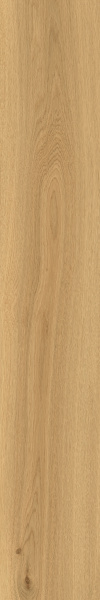 TAGINA Montalcino Rovere Dorato 20x120