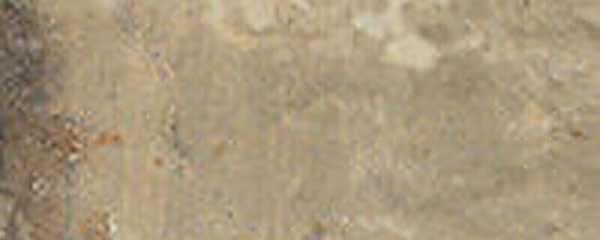 CIR Havana Elem Tropicana X15 10x4