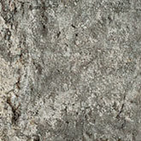CIR Boston Brick Esag Back Bay 15.8x18.3