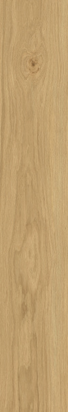 TAGINA Montalcino Rovere Dorato 20x120
