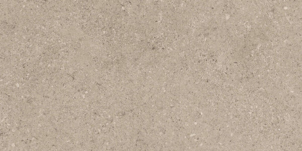CAESAR Pillar Taupe Nat. Ret. 60x120