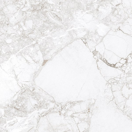 Progress ROSSALIA NATURAL керамогранит полированный 60х60 см AB 1208G