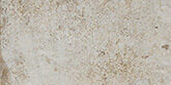 CIR Havana Elem Sugar Cane 10x40
