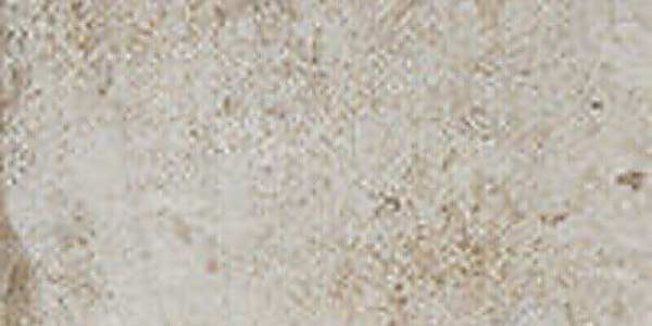 CIR Havana Sugar Cane 20x40