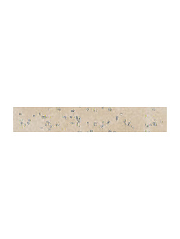 CIR Contrada Valente Batt Trani 6.5x40
