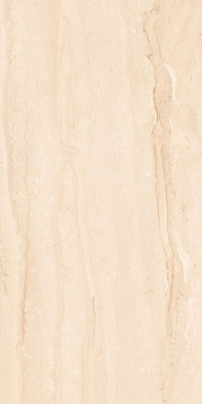 Progress DIANA SILVER керамогранит полированный 120x60 см AB 1017G