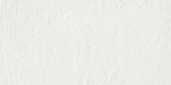 CIR Chromagic Tasty Oyster 60x120