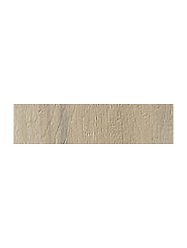 SERENISSIMA I Lecci Leccio Gentile 10x40