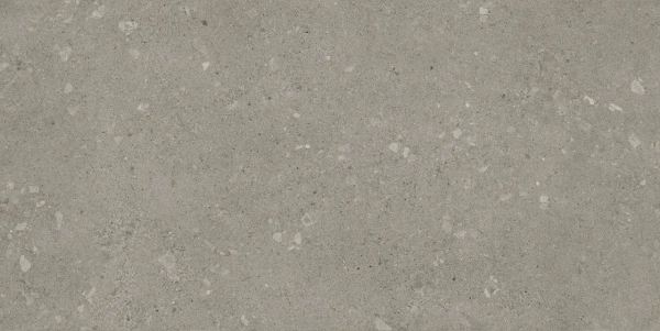 ATLAS CONCORDE Rinascente Fusion Rin Agglom Dark 60x120