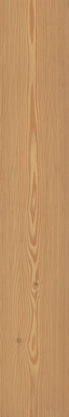 TAGINA Montalcino Larice Miele 20x120