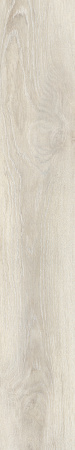 TAGINA Evoque Korina Naturale Ret. 20x120