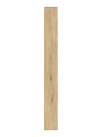 CAESAR Cocoon Glee 20x180