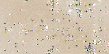 CIR Contrada Valente Trani 20x40