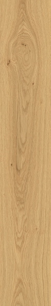 TAGINA Montalcino Rovere Dorato 20x120