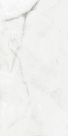 Progress ROYAL GREY LIGHT керамогранит полированный 120x60 см AB 1025G