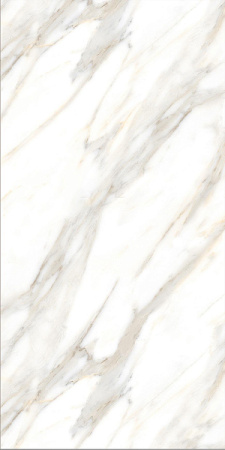 Progress CALACATTA GOLD керамогранит матовый  120x60 см 1016M