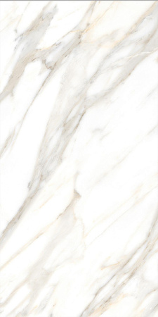 Progress CALACATTA GOLD GLOSSY керамогранит полированный 120x60 см 1014G