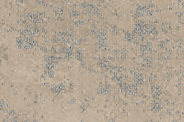 SERENISSIMA Pietra Di Portland Greige 60x90